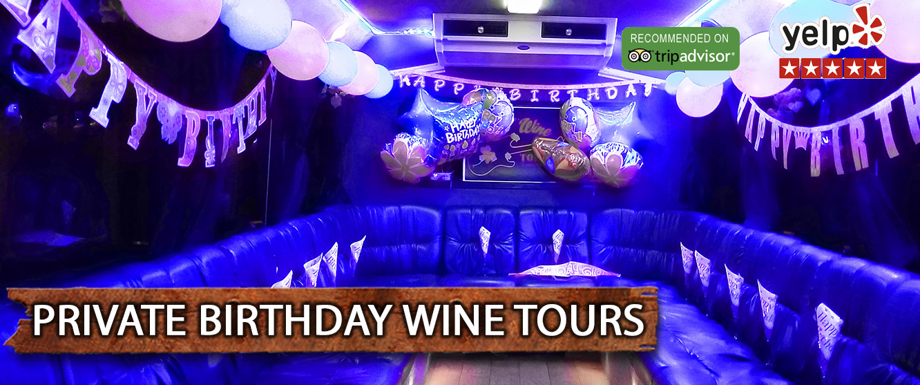 01birthday-wine-tour-tipsy.jpg