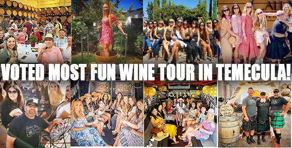 Most Fun Wine Tasting Tour Temecula