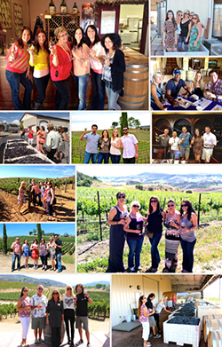 Temecula Wine Tour Photo Gallery